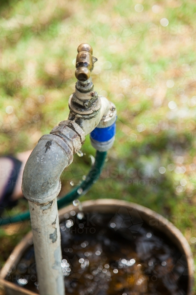 Water dripping from tap into dog water bowl in summer - Australian Stock Image