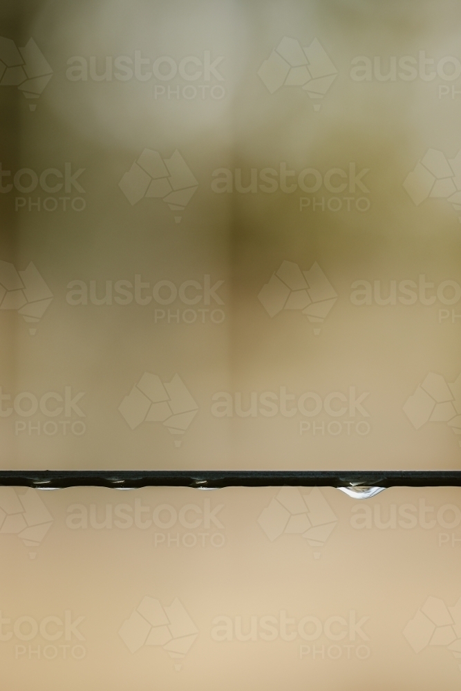 Water droplets on farm wire fence close up after the rain - Australian Stock Image