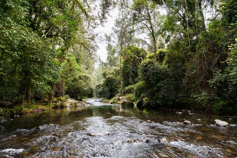 Water rushing over rapids in river in forest - Australian Stock Image