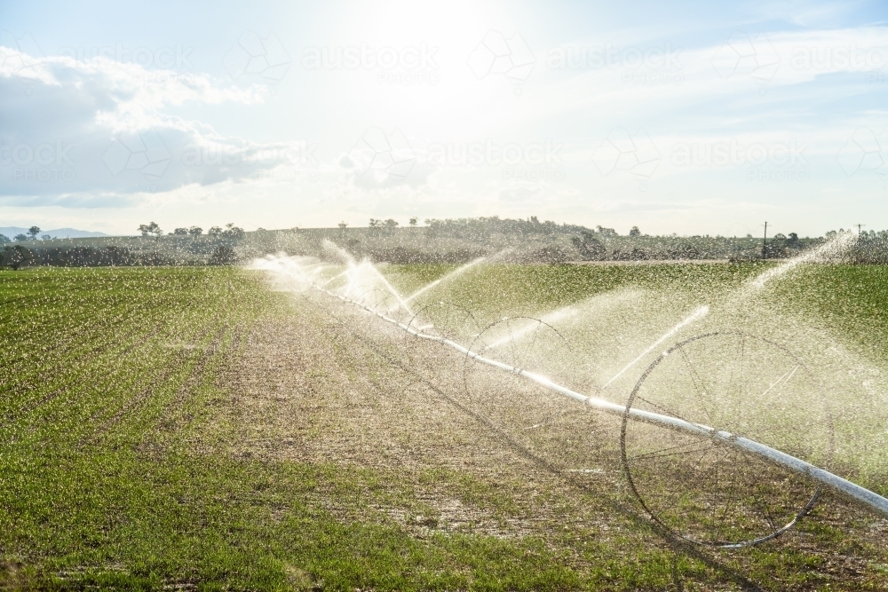 Water spray from farm irrigation system at sunset - Australian Stock Image