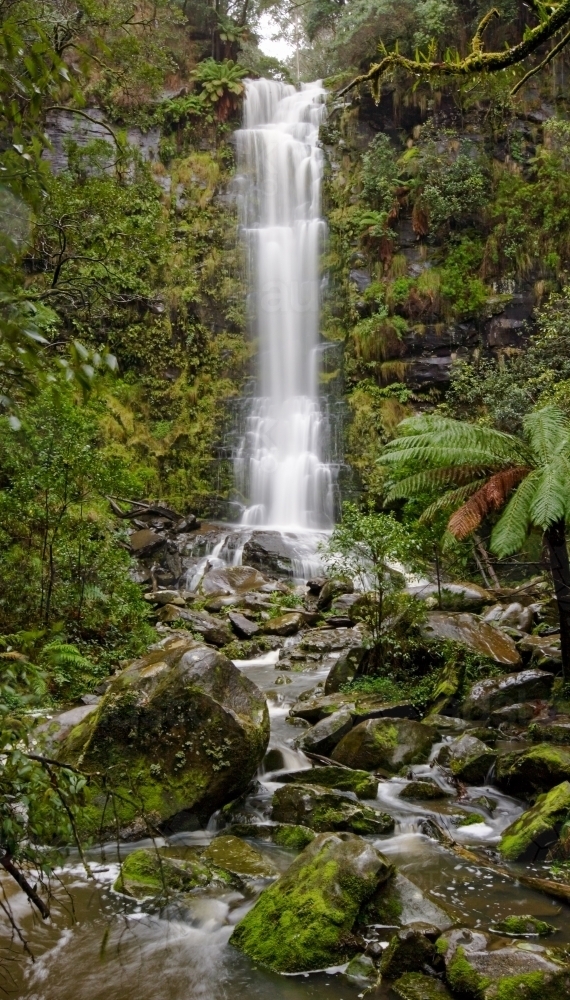 Waterfall in temperate rainforest - Australian Stock Image