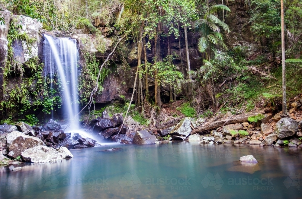 Image of Waterfall in the Gold Coast hinterland - Austockphoto