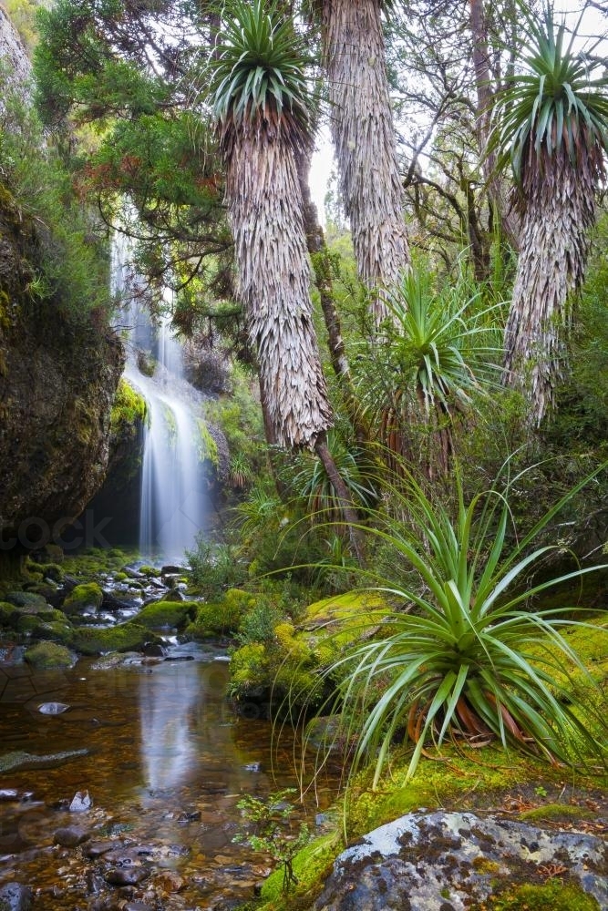 Waterfall Valley - Australian Stock Image