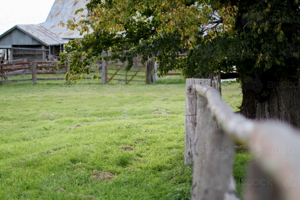 Weathered wooden fence with a tree and work shed in the background - Australian Stock Image