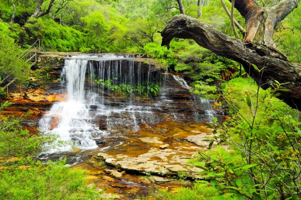 Weeping Rock waterfall on Jamison Creek in the Blue Mountains of New South Wales - Australian Stock Image