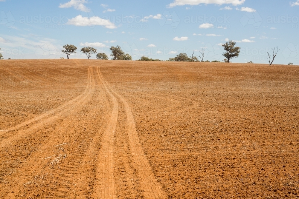 Wheel tracks across a ploughed paddock - Australian Stock Image