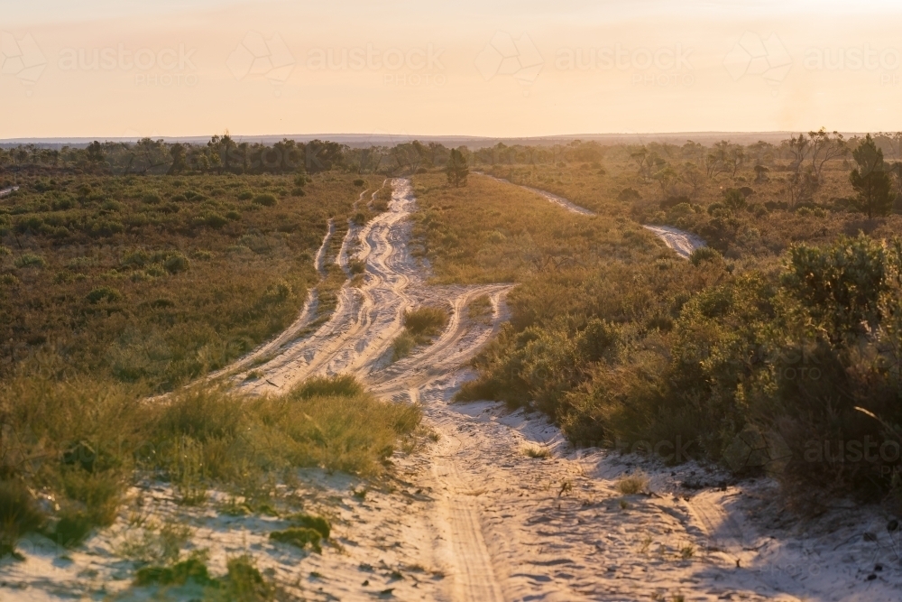 Wheel tracks running through a sandy rural desert at sunset - Australian Stock Image