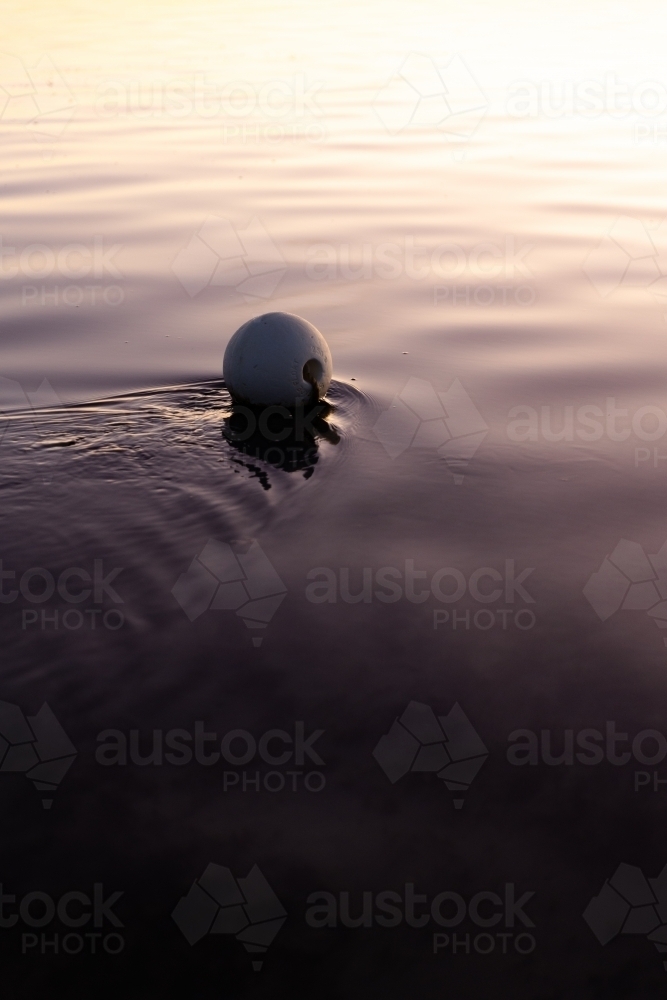 White buoy floating on water in evening - Australian Stock Image