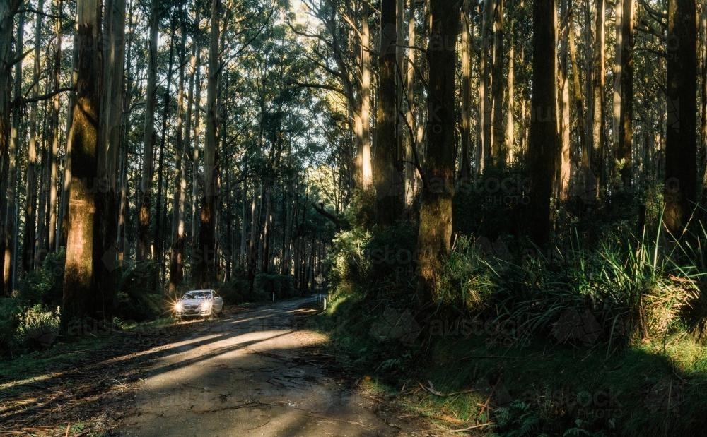 White Car Parked on Mountain Road near Healesville - Australian Stock Image