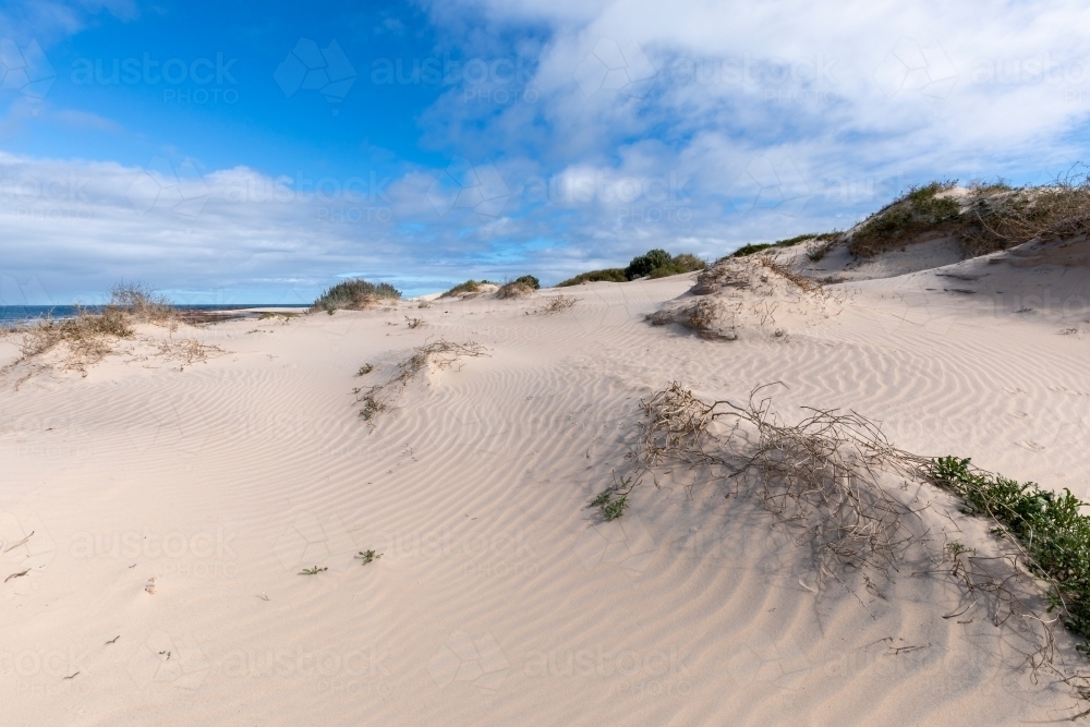 white sand dune at edge of beach - Australian Stock Image