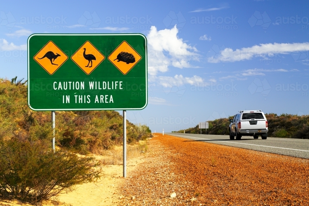 Wildlife warning signs along a highway. - Australian Stock Image