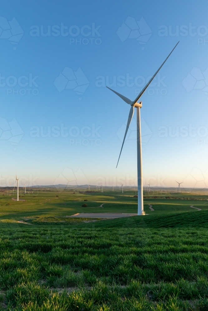 wind tower with wind farm in distance - vertical - Australian Stock Image