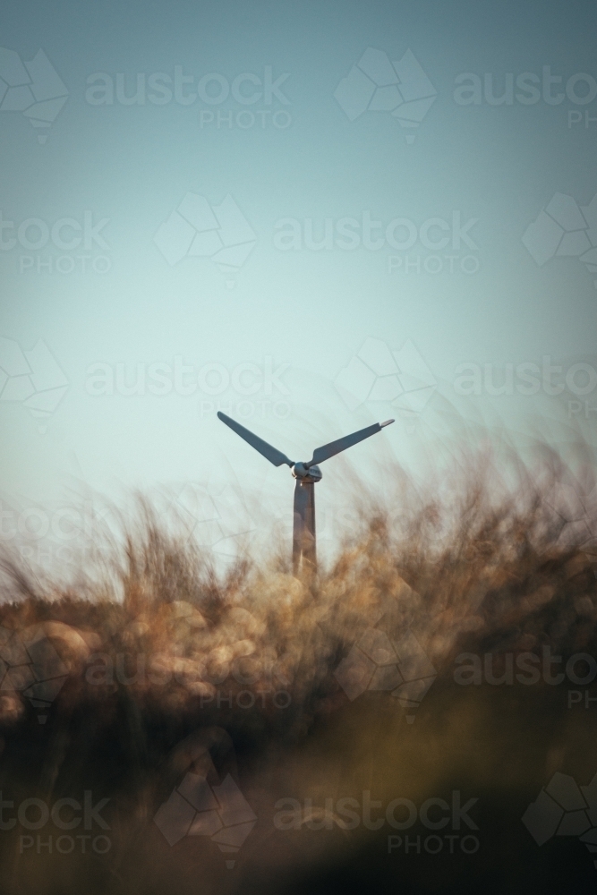 Wind Turbine spinning in a grassy field - Australian Stock Image