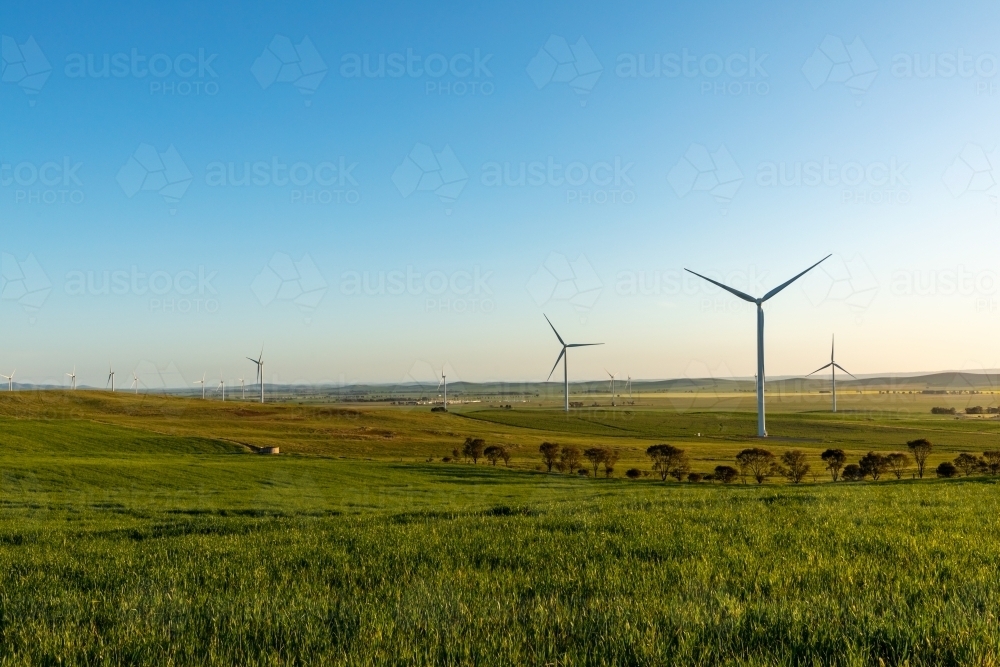 wind turbines in farm land in afternoon light - Australian Stock Image