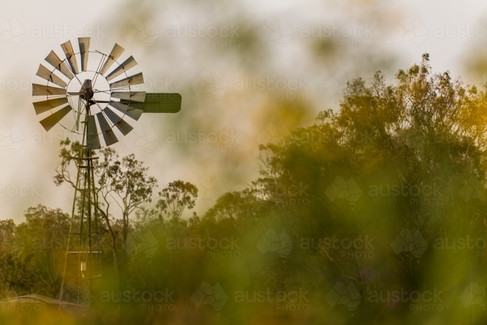 windmill amongst trees on a farm - Australian Stock Image