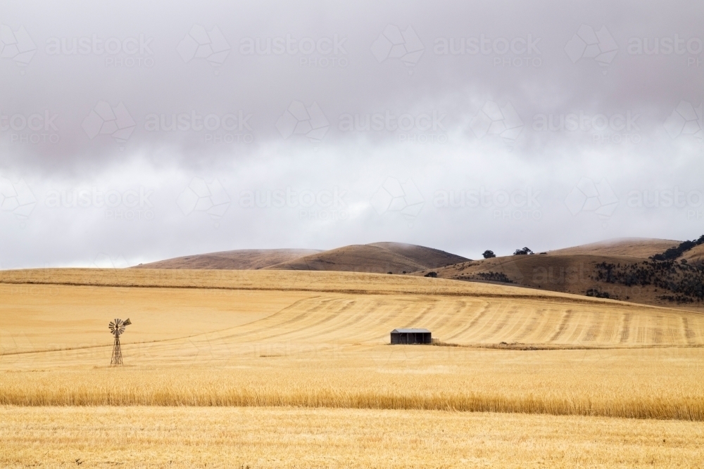 windmill and shed paddock under stormy skies - Australian Stock Image