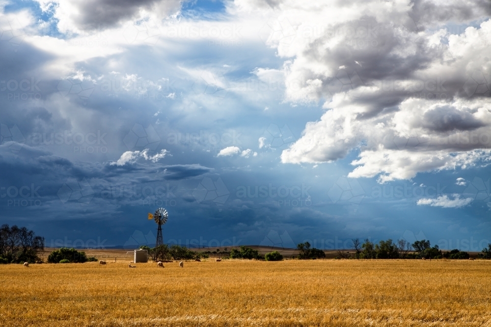 windmill in front of storm clouds - Australian Stock Image