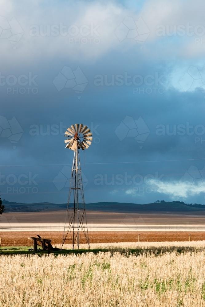 Windmill lit by afternoon light - Australian Stock Image