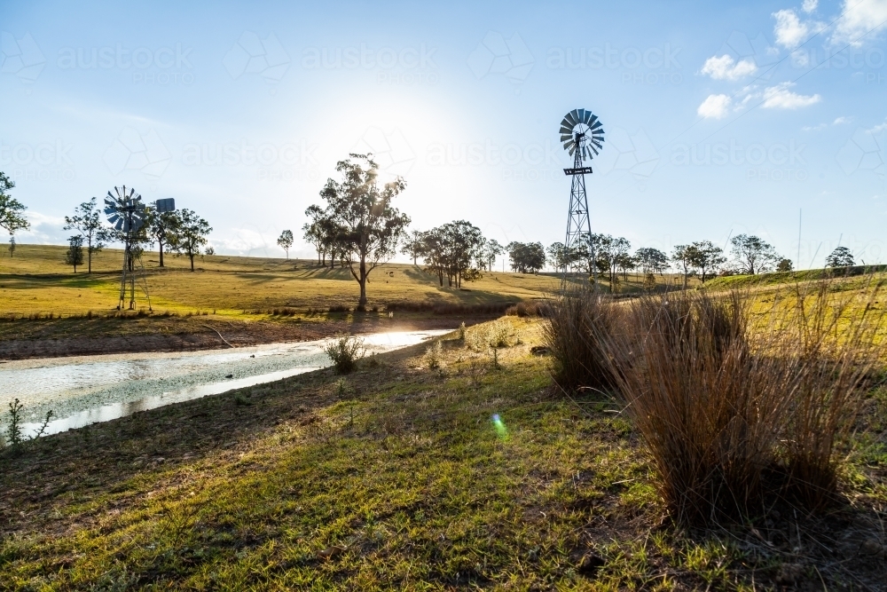 Windmill on farm beside dam in afternoon - Australian Stock Image