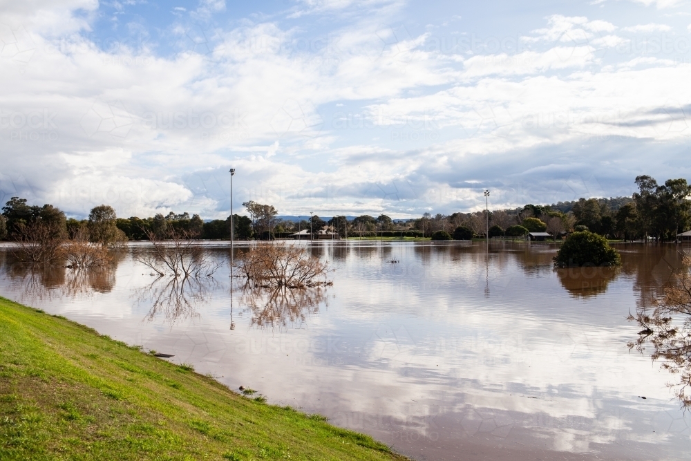 Wintery tree with bare branches reflecting in floodwater covering park - Australian Stock Image