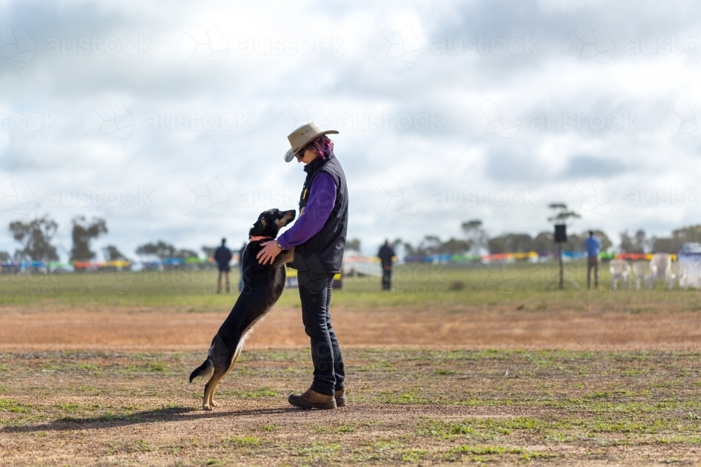 Woman dog trainer and kelpie dog - Australian Stock Image