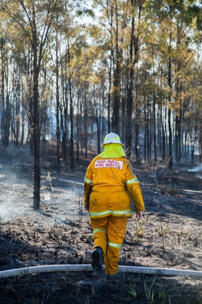 Woman firefighter volunteer walking over grass burnt black in bushfire - Australian Stock Image