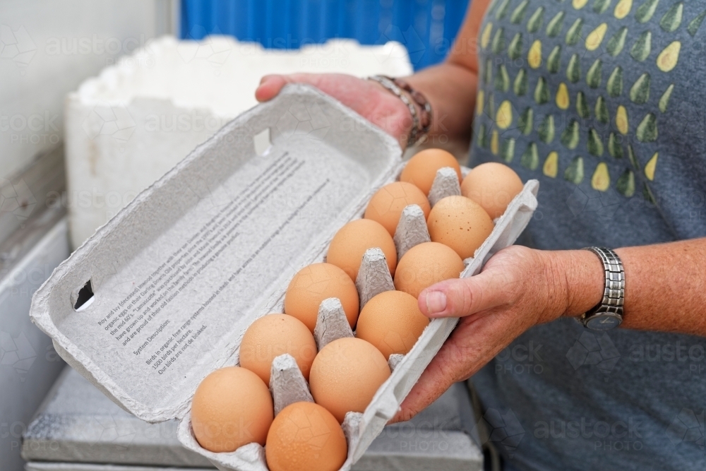 Woman holding an opened carton of eggs in her hands - Australian Stock Image