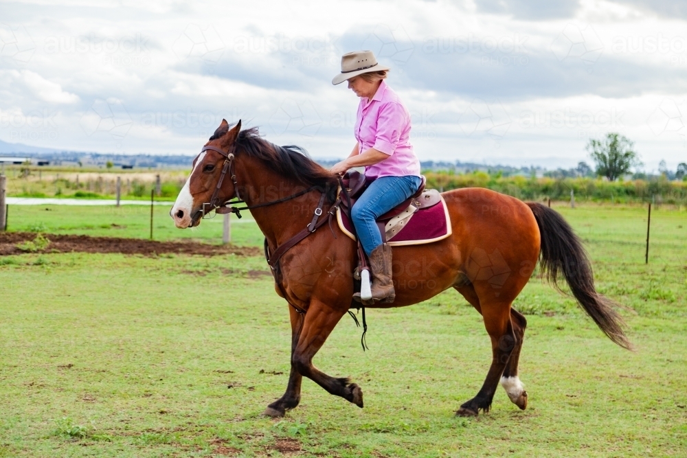 Woman riding horse through paddock - Australian Stock Image