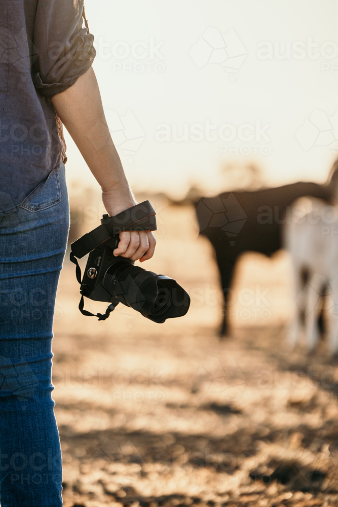 Woman standing in a dusty and dry grassy paddock holding a camera - Australian Stock Image