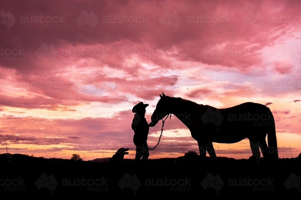 Woman with horse and dog silhouetted against pink country sky at dusk - Australian Stock Image