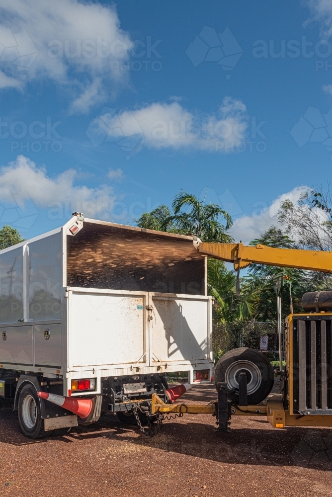 wood chipper chipping wood into truck - Australian Stock Image