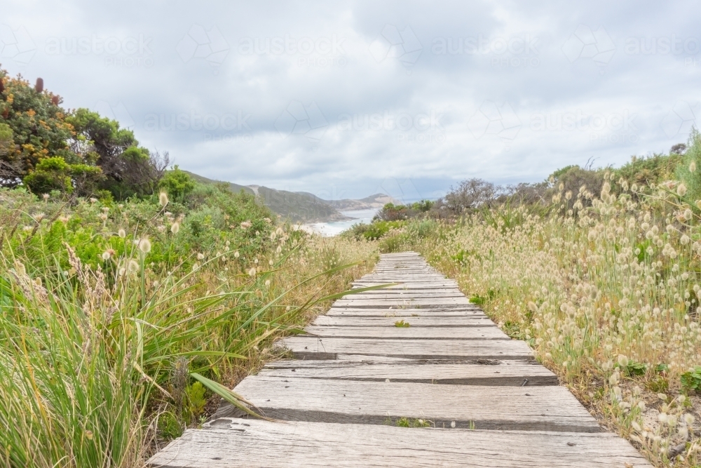 Wooden boardwalk on Cape to Cape track in Western Australia with views of ocean and coastline. - Australian Stock Image