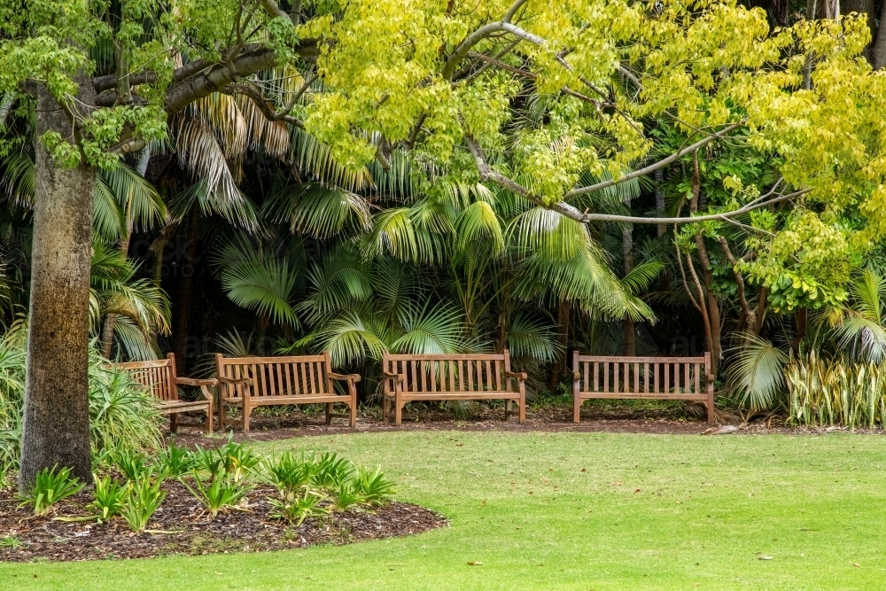 Wooden park benches on perimeter of shrubs and grassy area. - Australian Stock Image