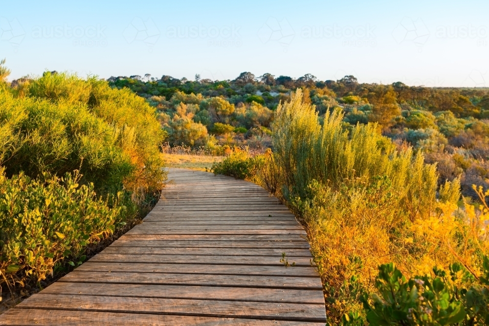 wooden pathway through a coastal landscape - Australian Stock Image