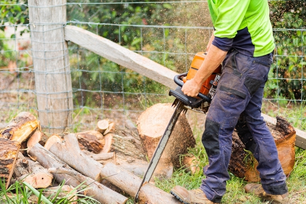 Workman using a chainsaw to cut logs into smaller rounds of wood - Australian Stock Image