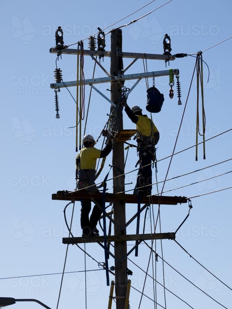 Workmen up an electricity pole - Australian Stock Image