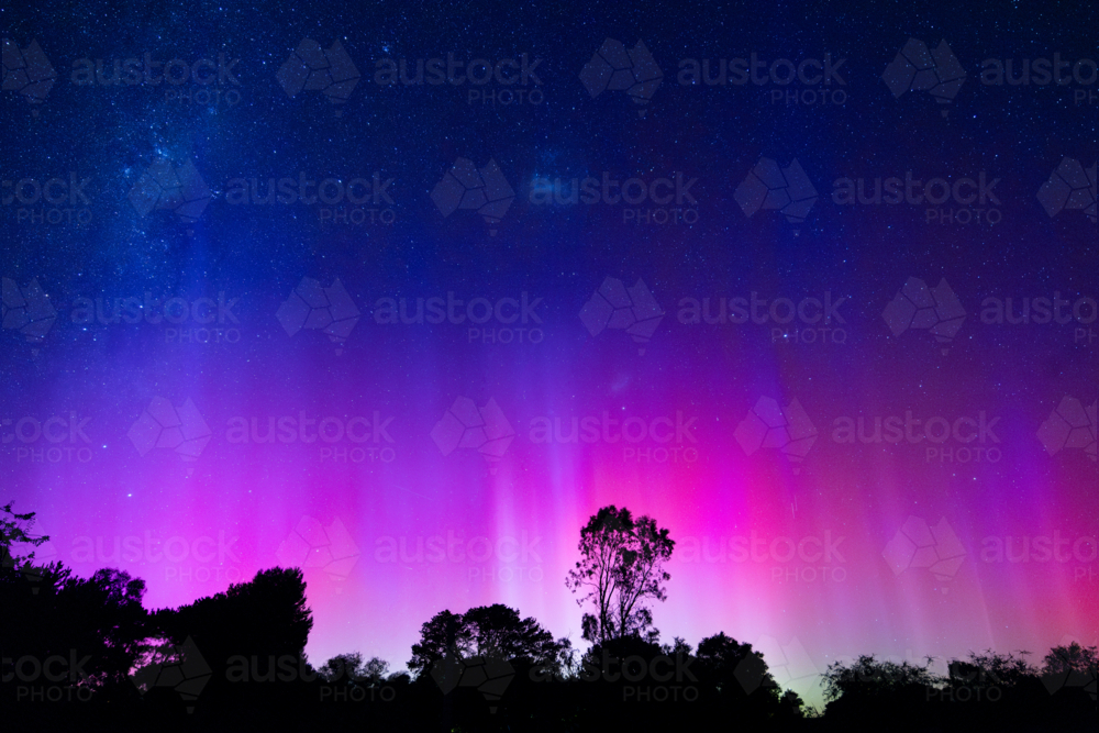 YACKANDANDAH, AUSTRALIA - JANUARY 1, 2025: Aurora Australis makes an appearance on New Years Day - Australian Stock Image