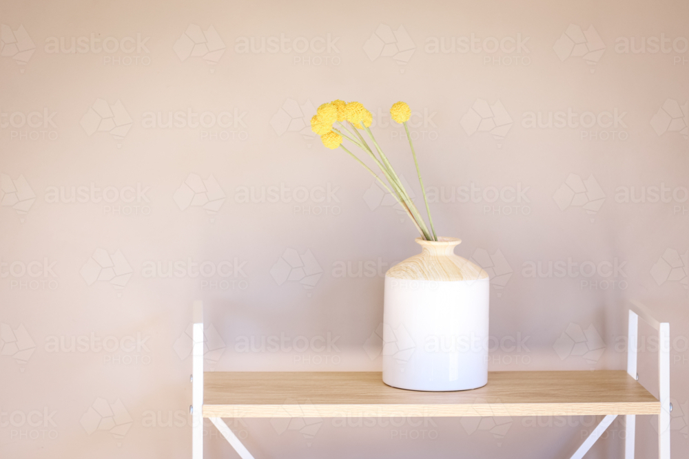 Yellow Billy Button flowers in white vase with plain wall background - Australian Stock Image