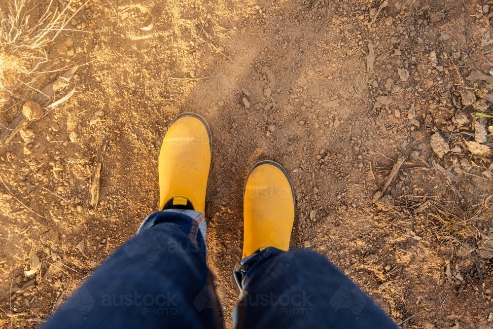 yellow boots work by woman in jeans looking down on dusty dry land with soft fluffy dirt - Australian Stock Image