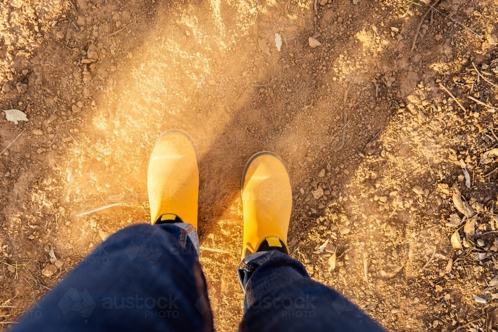 yellow boots work by woman in jeans looking down on dusty dry land with soft fluffy dirt - Australian Stock Image