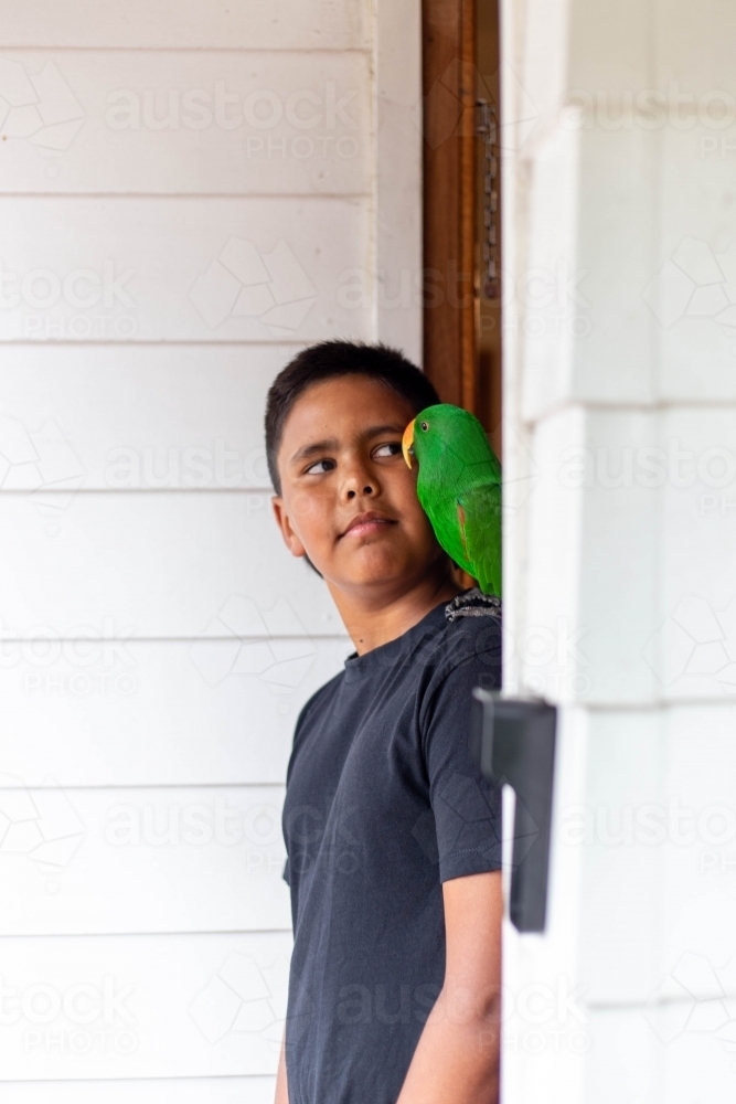 Young Aboriginal boy with pet bird on shoulder - Australian Stock Image