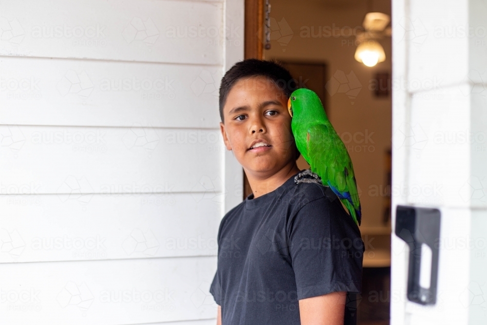 Young Aboriginal boy with pet bird on shoulder - Australian Stock Image