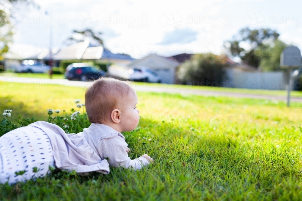 young baby outside on front lawn grass in spring with copy space - Australian Stock Image