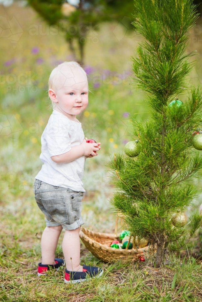 Young boy decorating real Christmas tree with baubles outdoors - Australian Stock Image