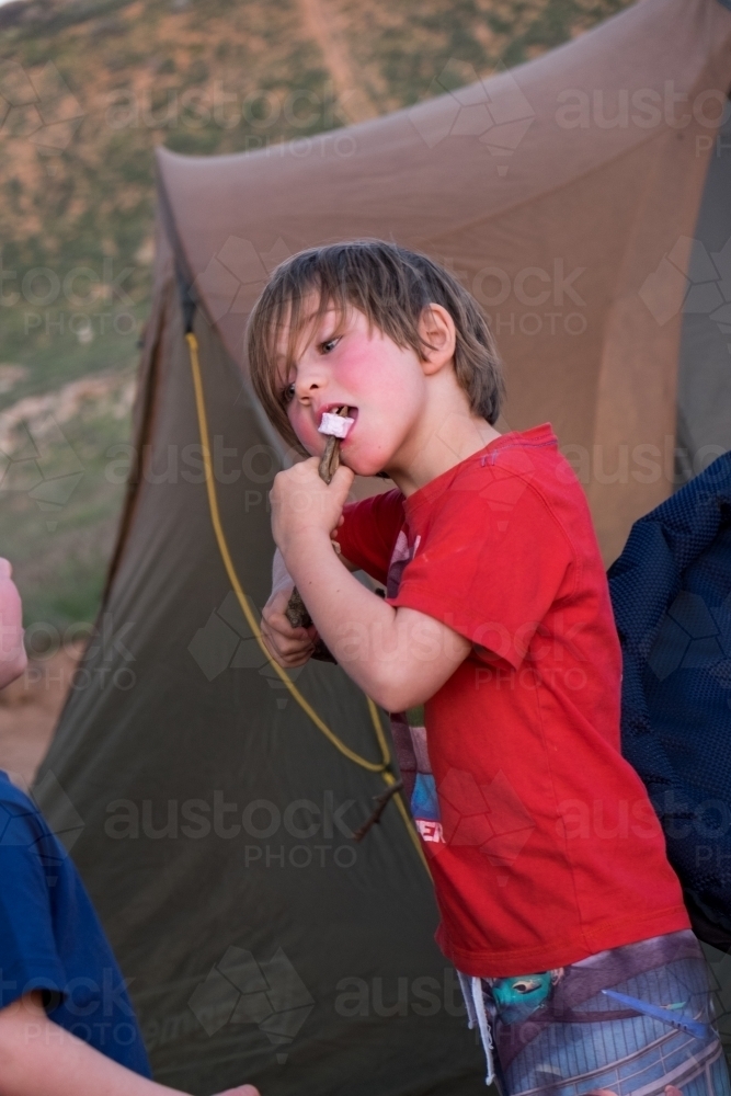 Young boy eating toasted marshmallow off stick in front of tent - Australian Stock Image