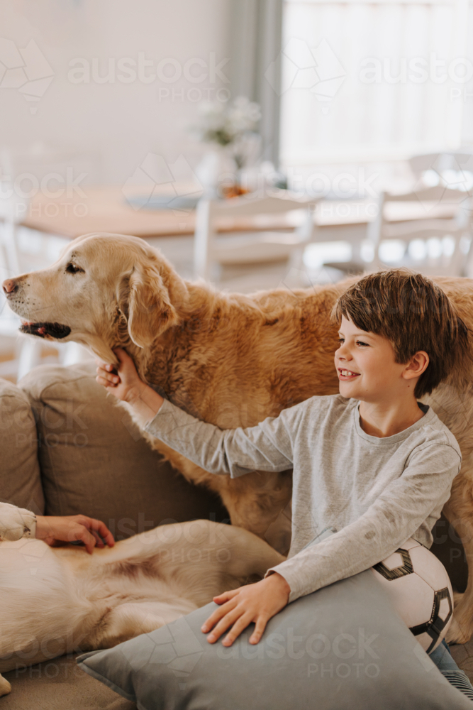 Young boy grabbing the neck of retriever dog standing on the couch. - Australian Stock Image