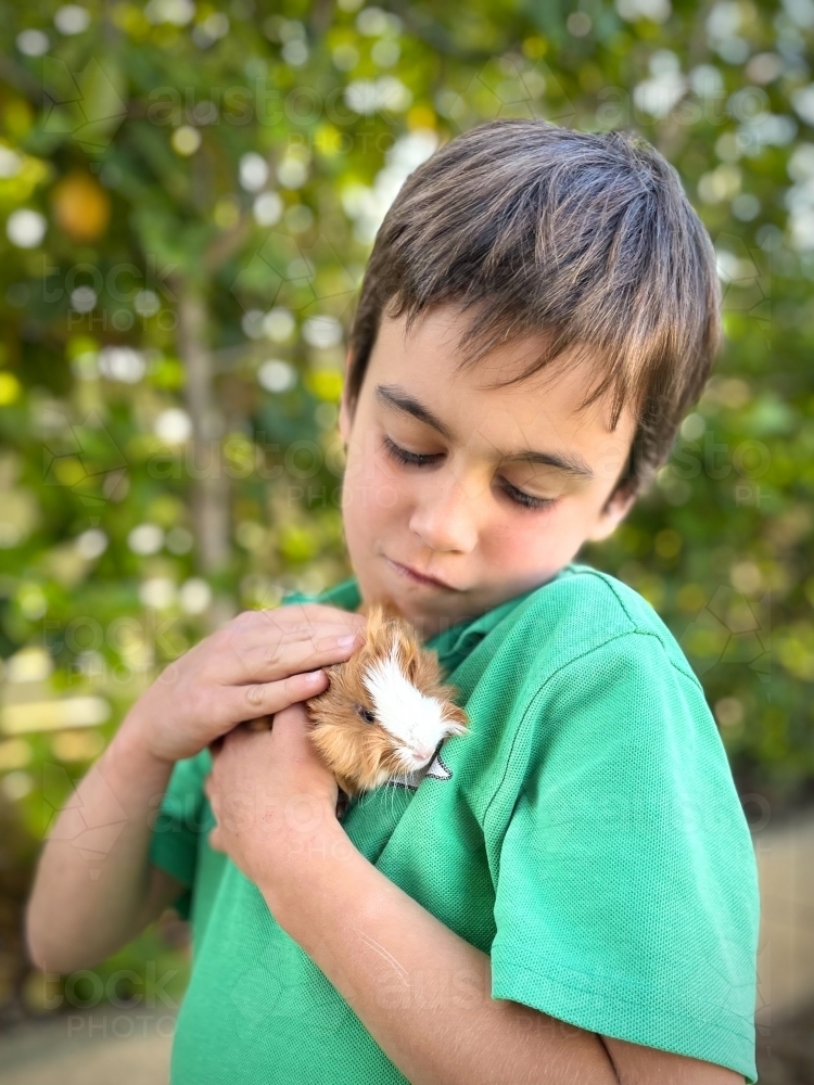 Young boy holding guinea pig affectionately - Australian Stock Image