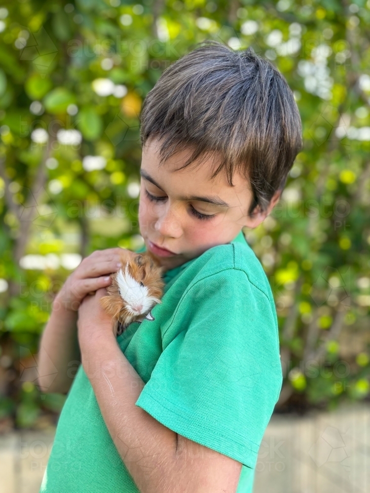 Young boy holding guinea pig affectionately - Australian Stock Image