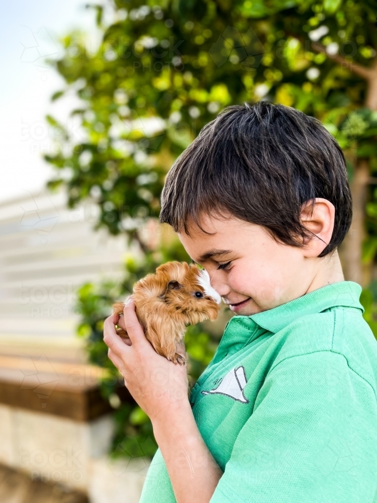 Young boy holding guinea pig affectionately - Australian Stock Image