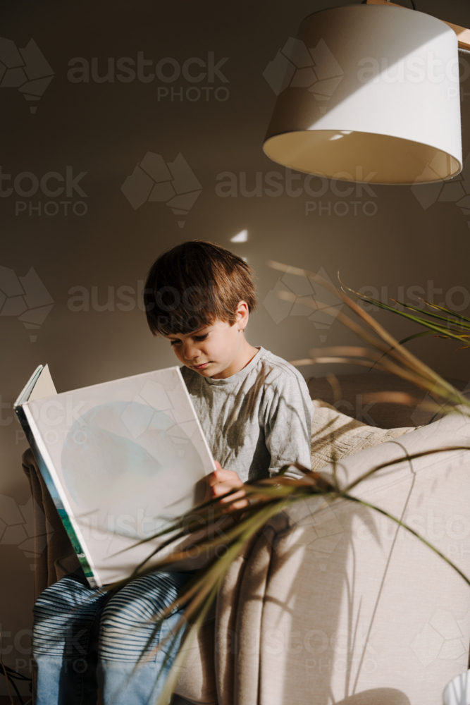 Young boy reading a book on the couch in a sunlit room. - Australian Stock Image